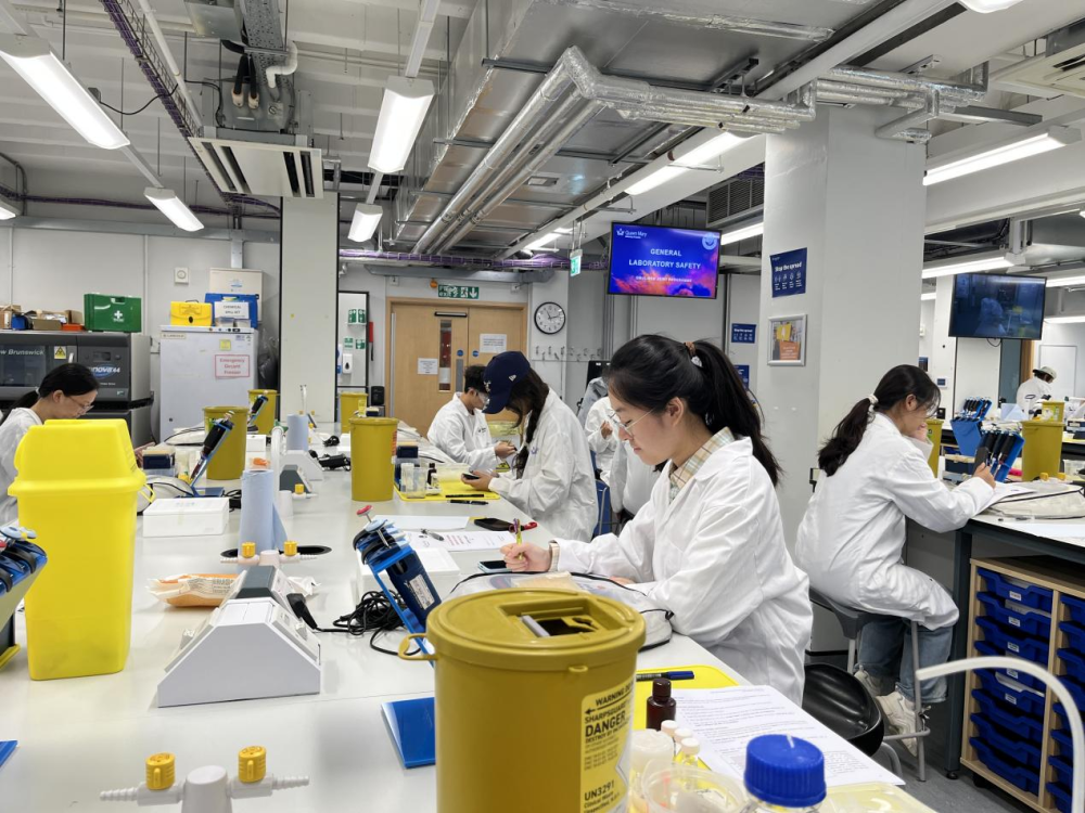 学生在英国伦敦玛丽女王大学开展科研训练