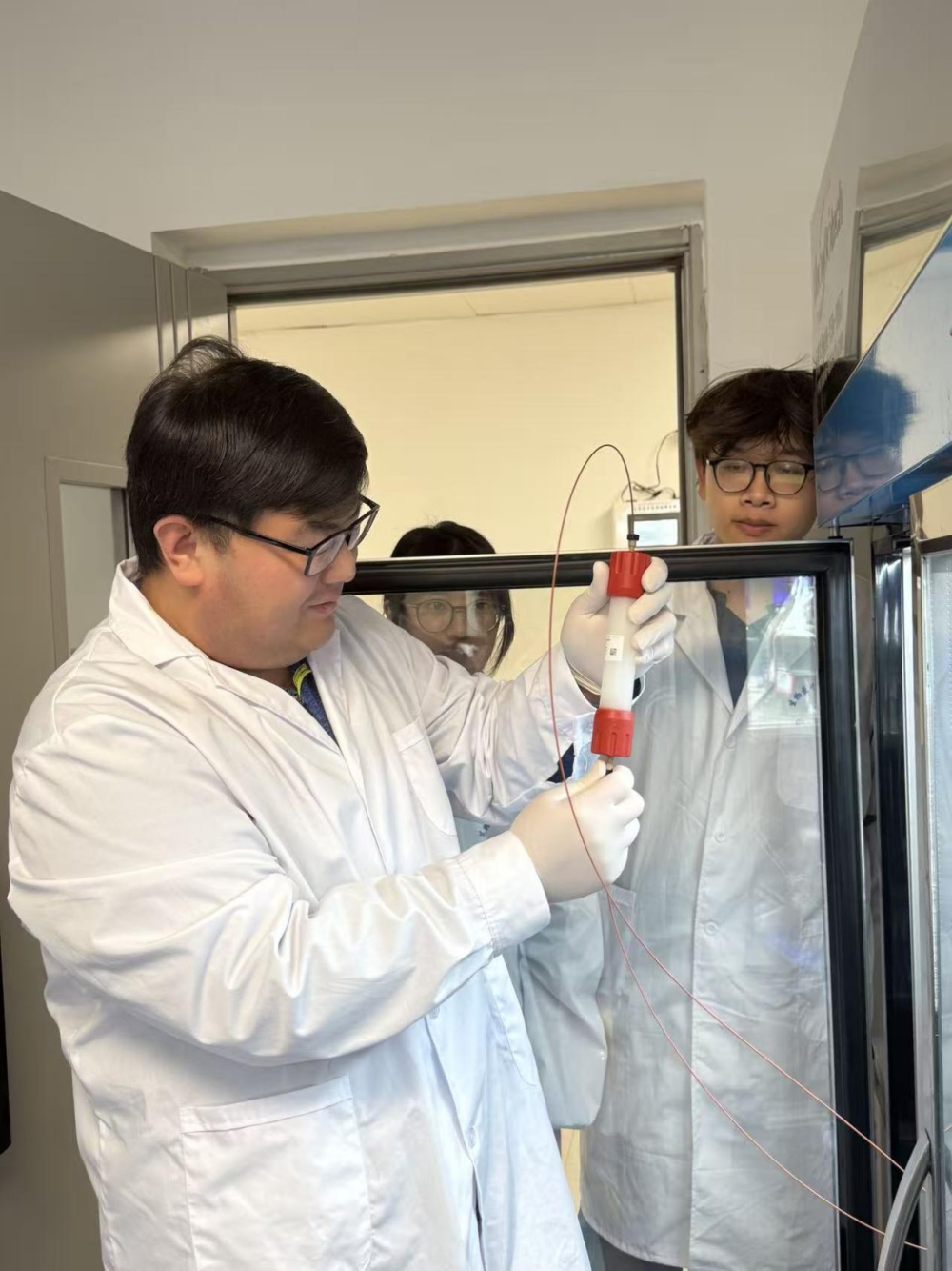 生物医学创新研究院王峥研究员开展细胞自噬的分子机制研究